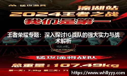 智博19