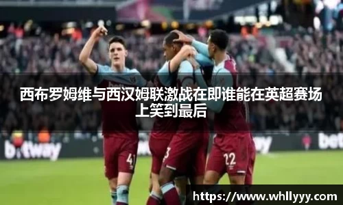 智博19有限公司